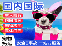 青山空运代理国际宠物托运 【国